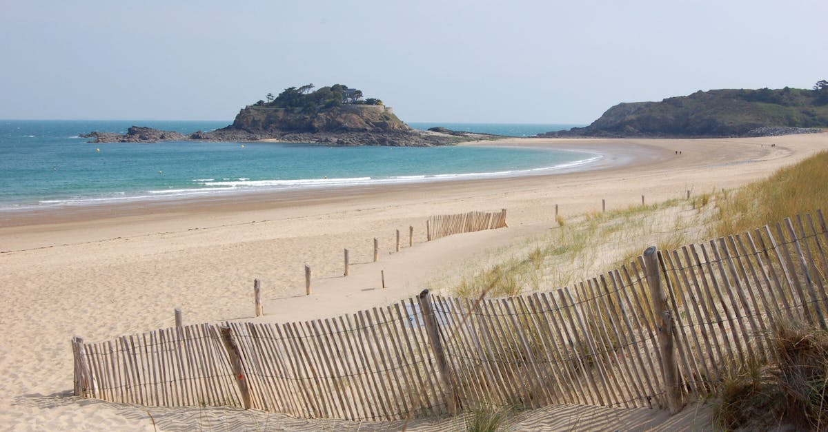 A tranquil sandy beach with wooden fences and a distant island on a summer day.