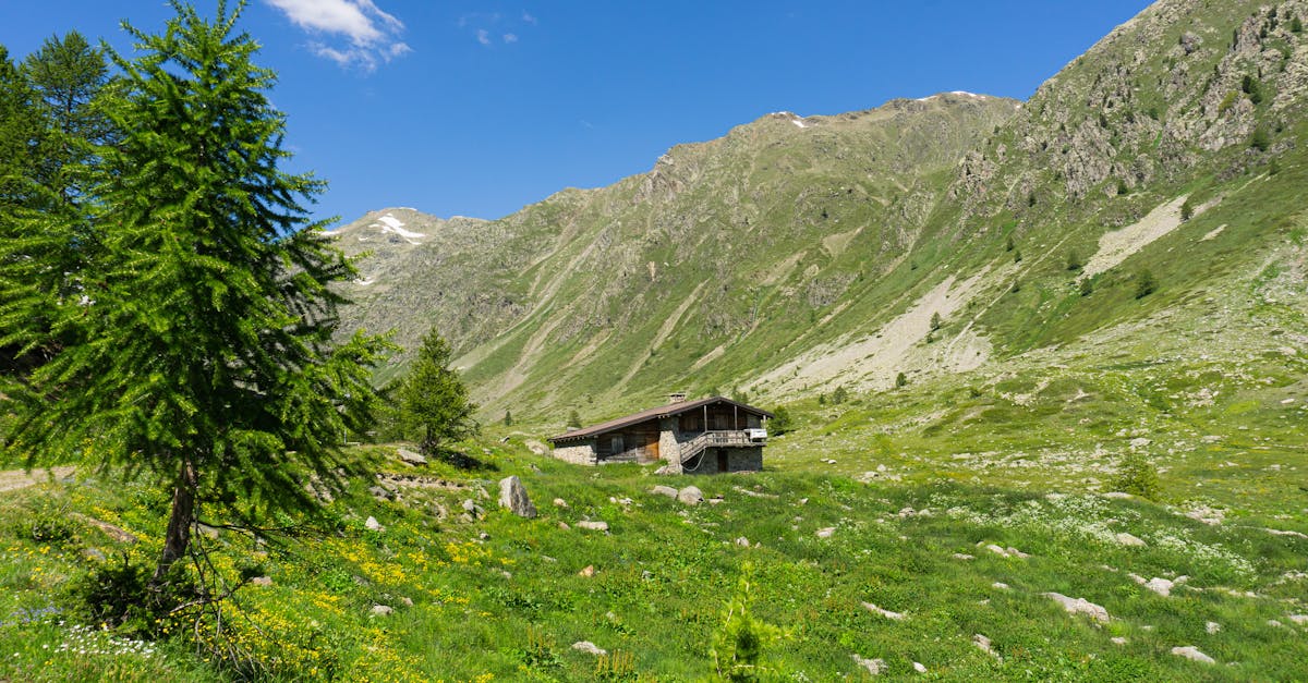 third_section_image_data.image_alt