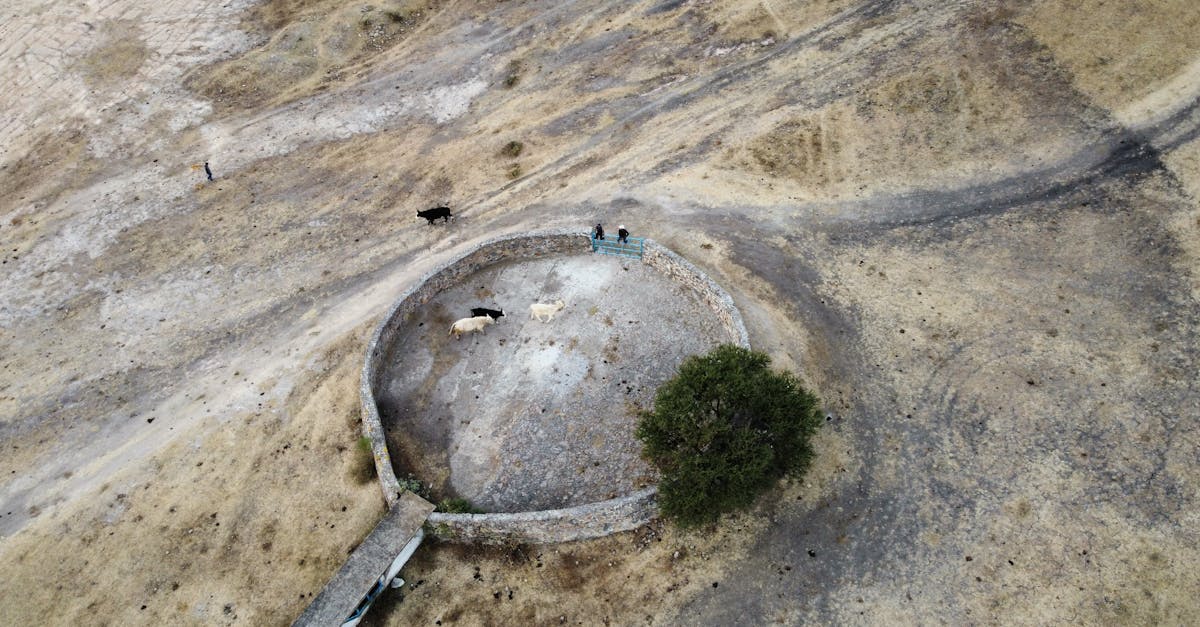 Drone shot capturing a circular stone corral amidst the arid Mexican landscape with grazing livestock.