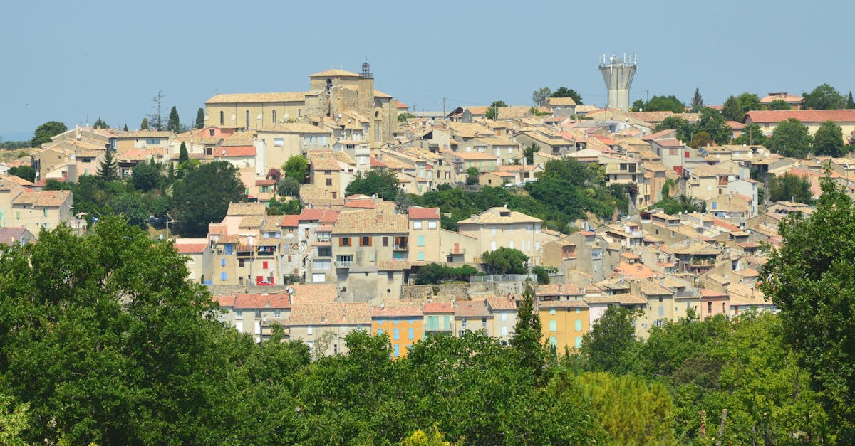 Scenic view of a charming French village with traditional architecture amidst lush green trees.