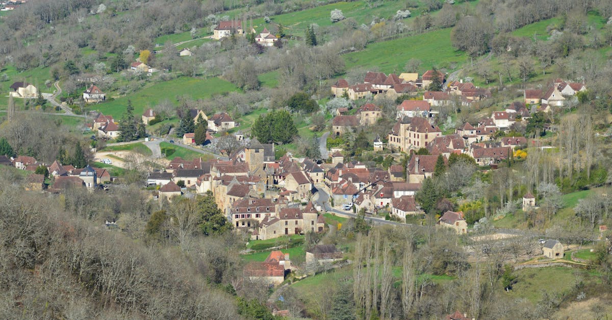 Charming aerial shot of a European village in lush greenery, showcasing rustic architecture.