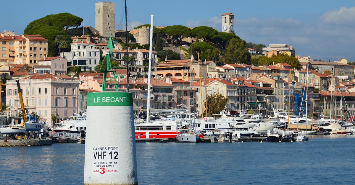 Picturesque Cannes harbor with luxury yachts and historic architecture on a sunny day.