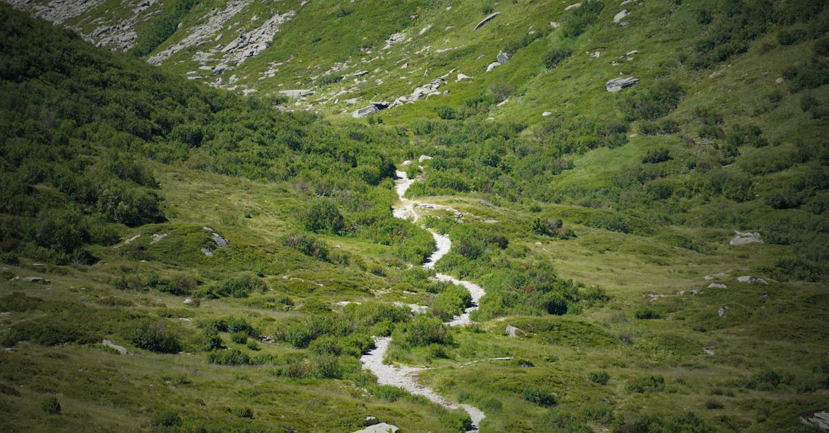 Tranquil green valley featuring a winding trail amidst lush vegetation, perfect for hiking.