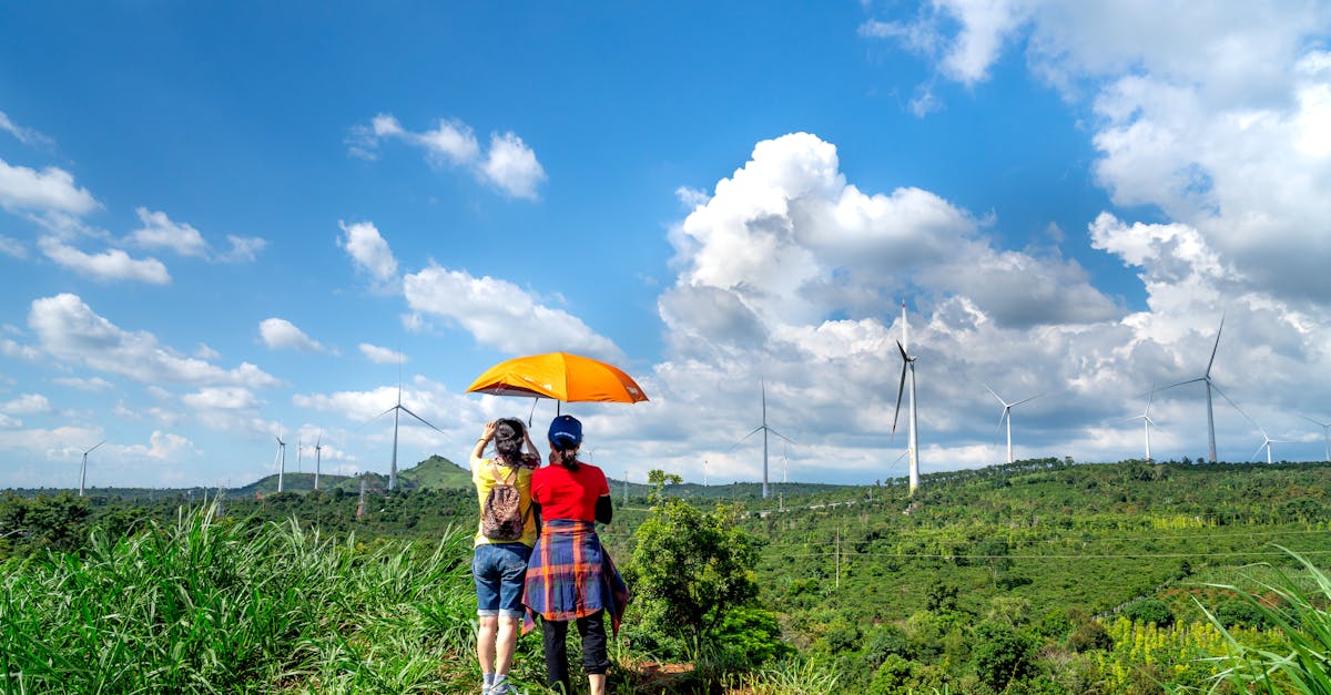Two people under an umbrella view wind turbines on a sunny rural hillside.