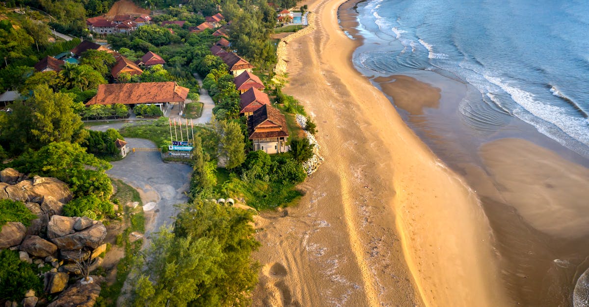 Aerial photograph of a picturesque beachfront village lined with greenery.