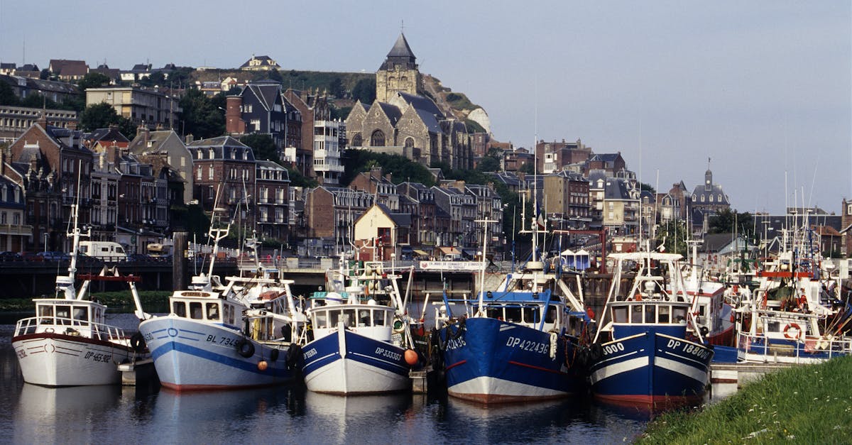 Fishing boats moored in Le Tréport harbor, showcasing Normandie's picturesque town and architecture.