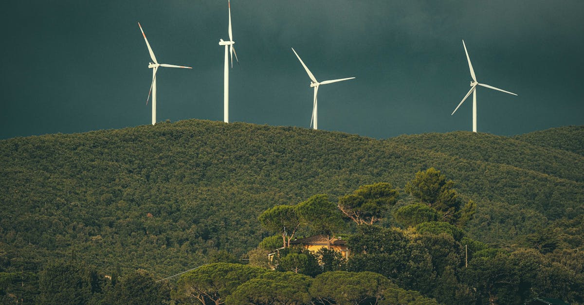 Wind turbines stand above lush green hills, showcasing renewable energy in nature.