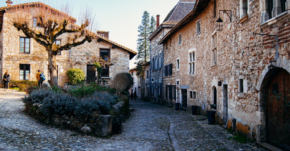 Picturesque cobblestone street in Lyon, France with rustic stone buildings and winter tree.
