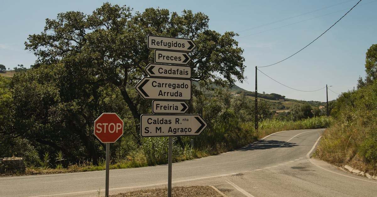 A rural road intersection with directional signs under a clear blue sky in Portugal.