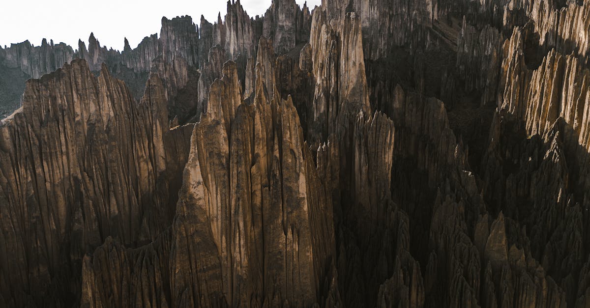 third_section_image_data.image_alt