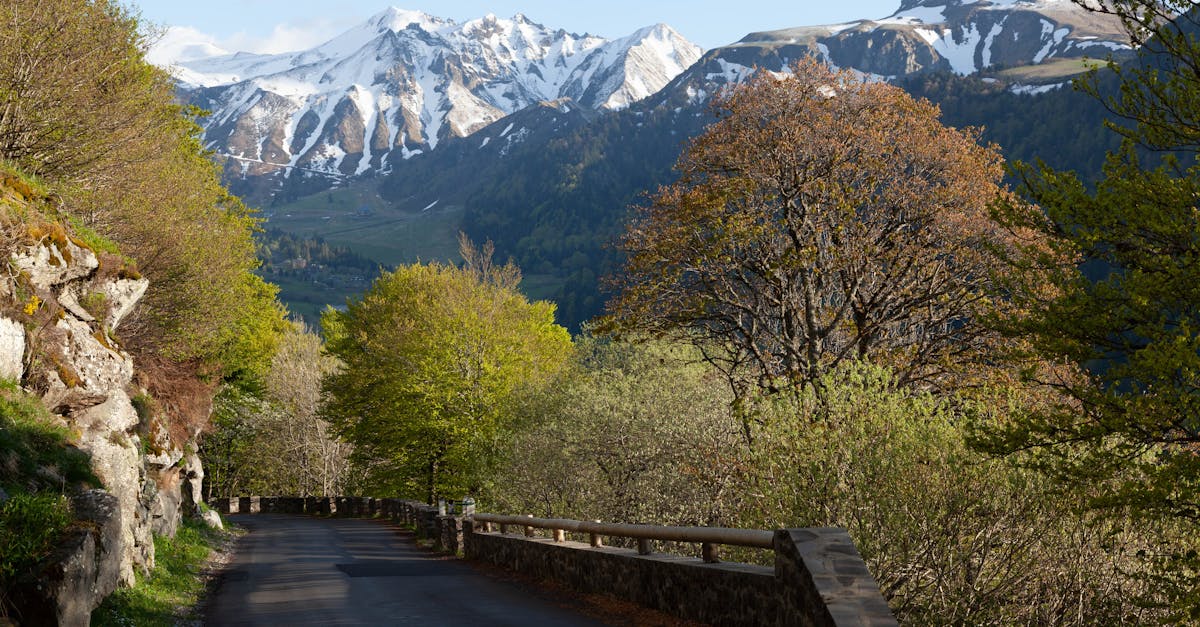 A picturesque road with lush trees and snow-capped mountains in Mont-Dore, Auvergne-Rhône-Alpes.