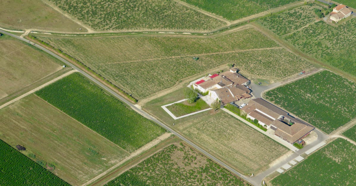 Aerial view of expansive farmland and farmhouses under a clear sky.