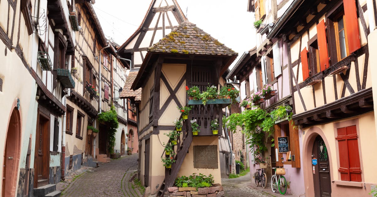 Explore the quaint cobblestone alleyways of Eguisheim with traditional half-timbered houses.