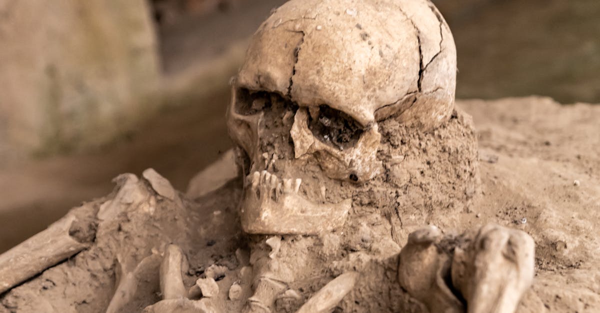 Close-up of an ancient Roman skeleton excavation site at Viminacium, Serbia.