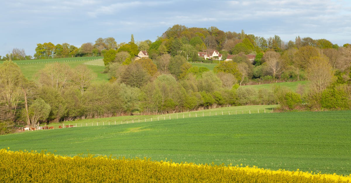 Lush green fields and rolling hills in Mortagne-au-Perche, Normandy, France.