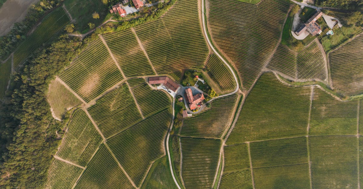 Captivating aerial perspective of vineyards in Monforte d'Alba, Italy, showcasing rural landscapes and architecture.