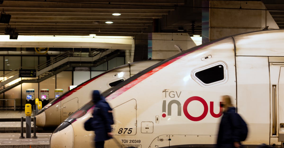 Travelers pass by TGV trains at a bustling Paris railway station, capturing the essence of urban transit.