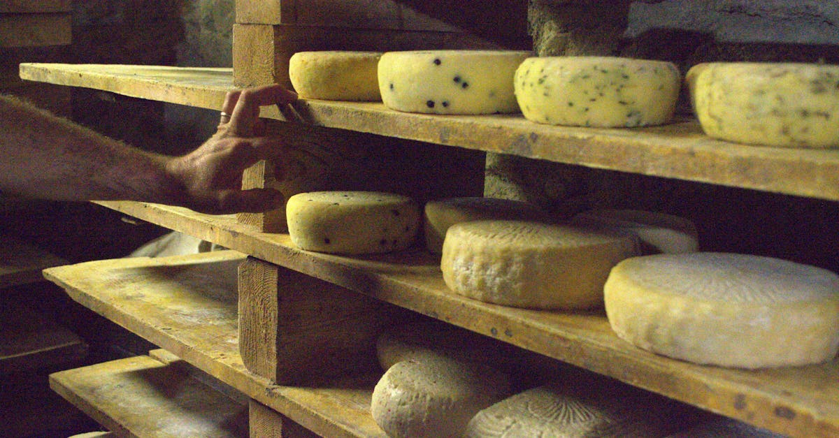 Close-up of various artisanal cheeses maturing on wooden shelves in Usseaux, Italy.