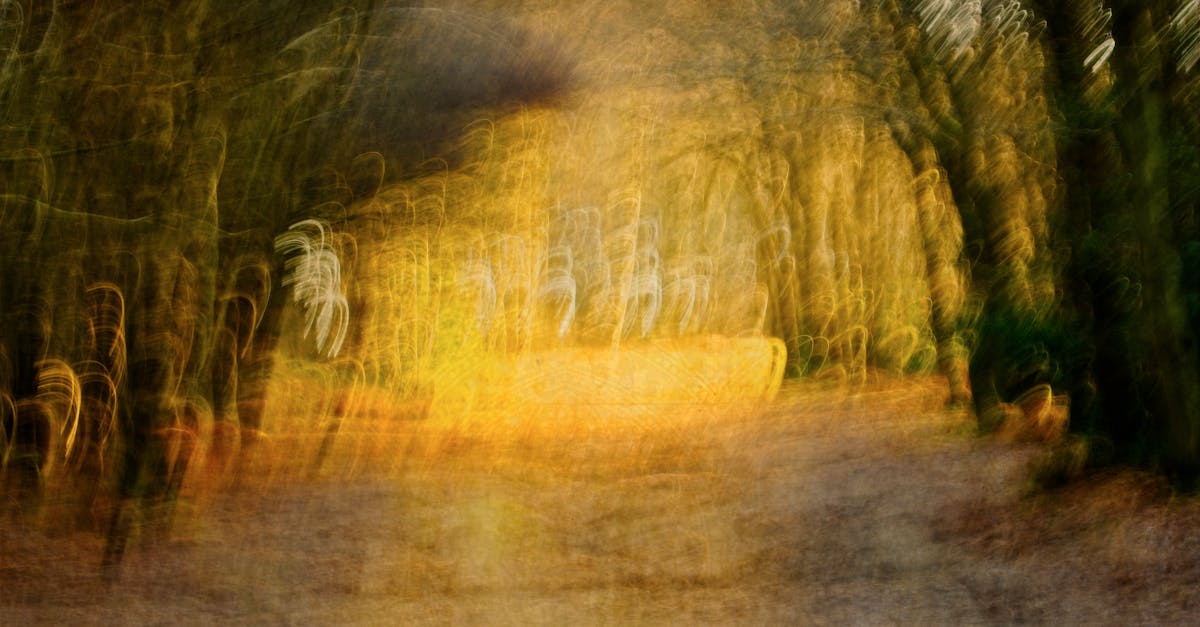 Blurred forest scene with abstract light patterns, evoking a dreamy ambiance.