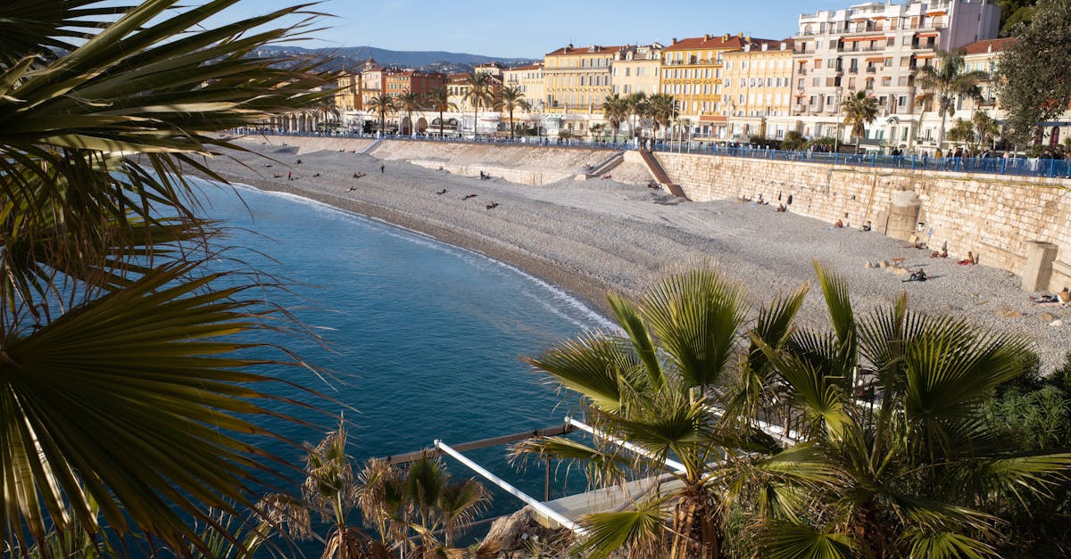 A stunning view of Nice's coastline, featuring palm trees and vibrant architecture.