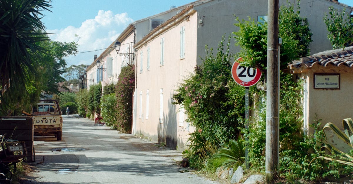 Charming village street with rustic houses, lush greenery, and a 20 km/h speed limit sign under a bright summer sky.