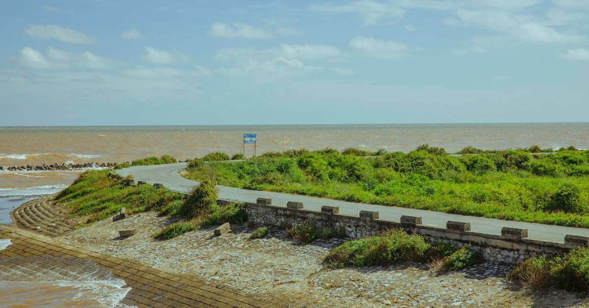 Scenic coastal road with vibrant greenery and ocean horizon under a blue sky.