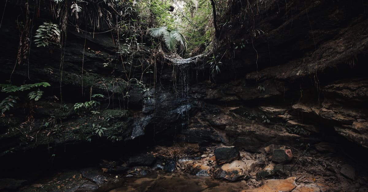 Explore the tranquility of a hidden jungle waterfall flowing within a lush cave setting.