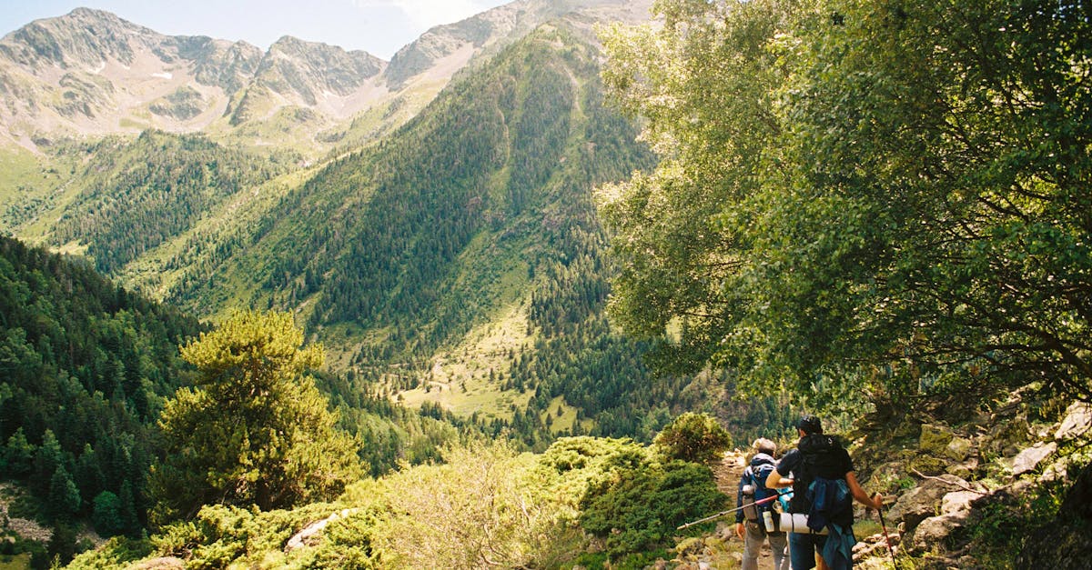 Adventure seekers hiking in the lush mountains of Llavorsí, Spain under a bright summer sky.