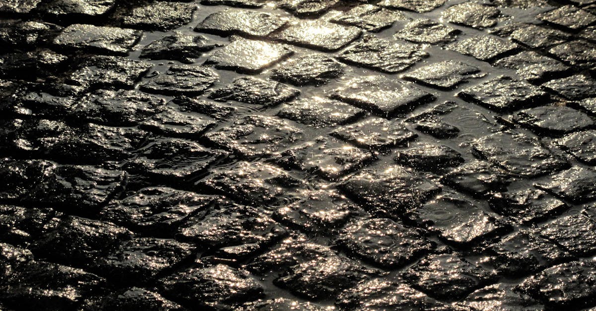 Glistening wet cobblestone street reflecting city lights in Mons, Belgium.