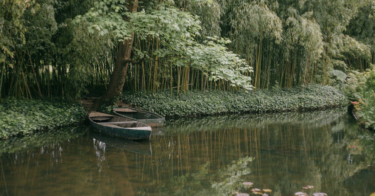 Serene view of small boats on a quiet pond surrounded by lush greenery in Giverny, France.