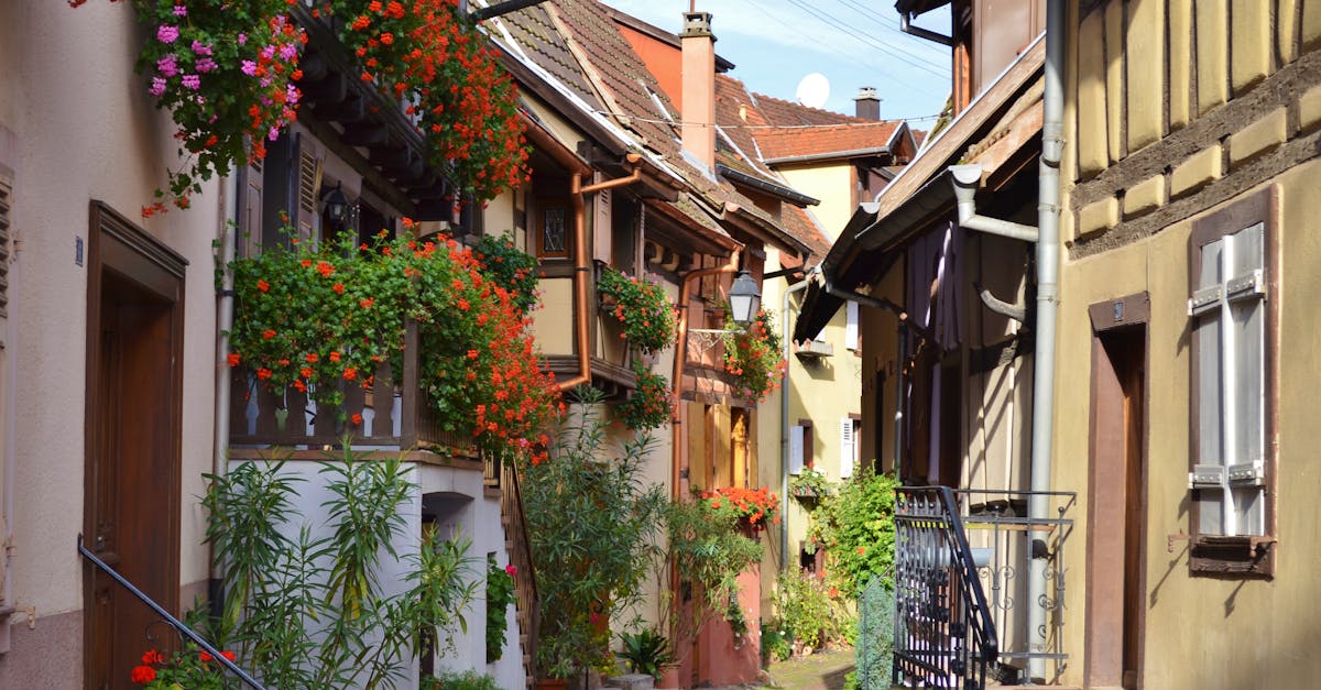 Picturesque street in Alsace, France, showcasing traditional architecture and vibrant floral displays.