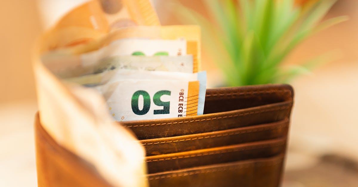 Close-up of a wallet with euro notes and a green plant in the background.