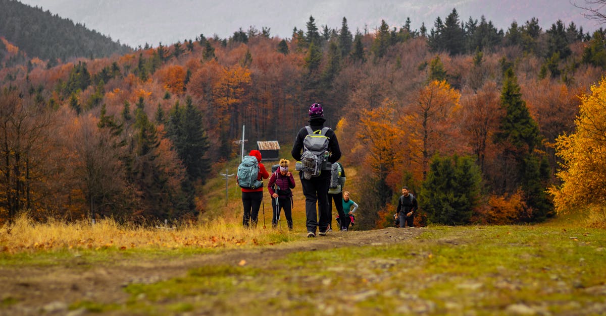 Group of hikers enjoying fall colors in a picturesque forest setting.