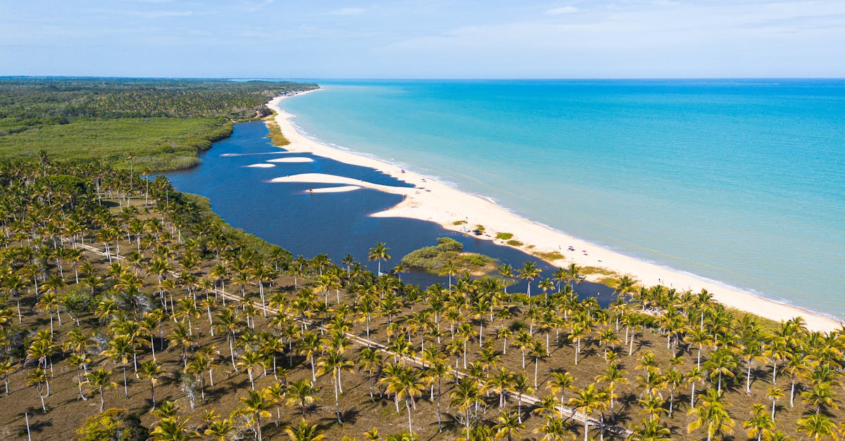 Stunning aerial view of Bahia, Brazil showcasing its tropical coastline and turquoise waters.