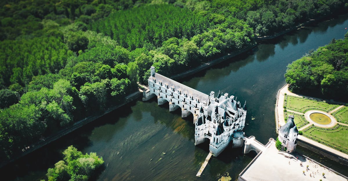 Stunning aerial view of Château de Chenonceau surrounded by lush greenery in Centre-Val de Loire, France.