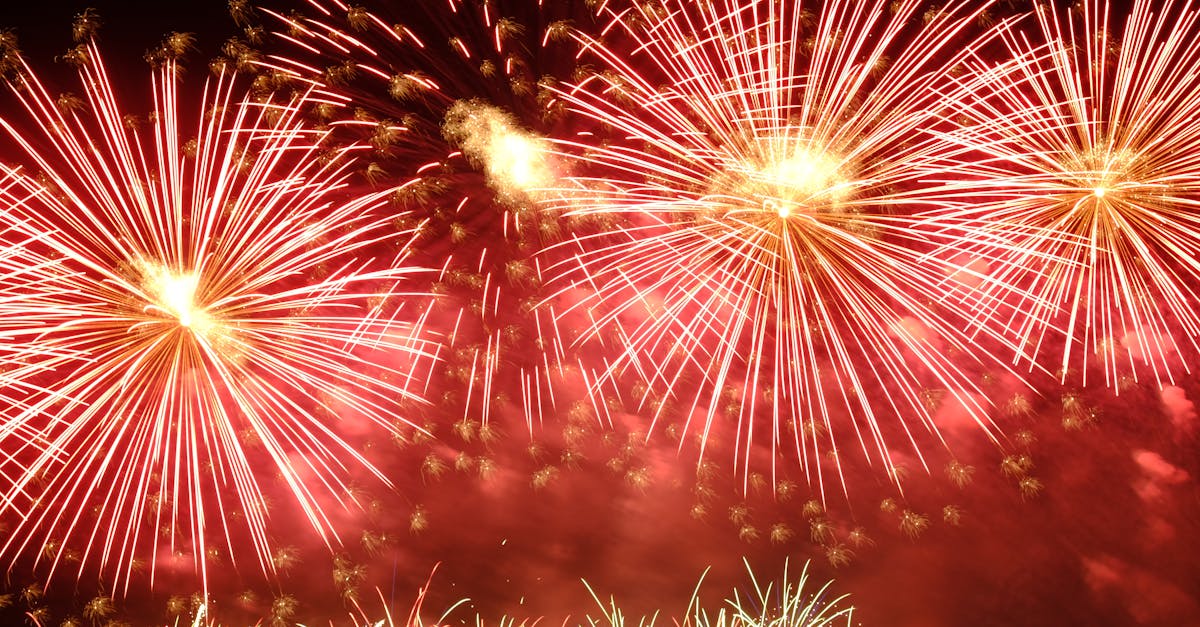 Vibrant red fireworks exploding in the night sky, creating a stunning visual spectacle.