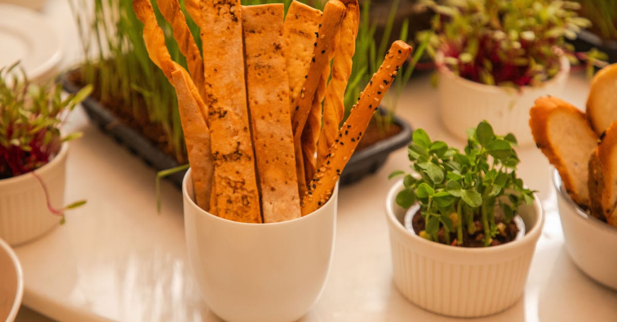 Aesthetic presentation of artisan breadsticks and fresh microgreens in elegant white cups.
