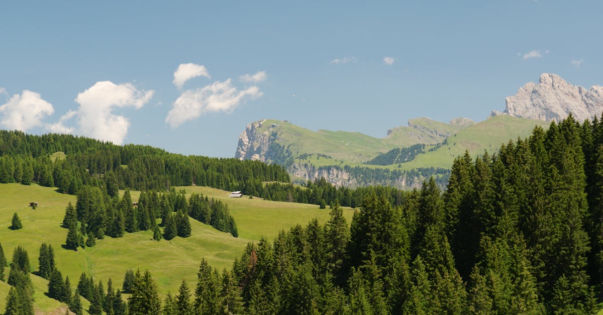 Breathtaking summer landscape of Seiser Alm in South Tyrol with Dolomites in the background.