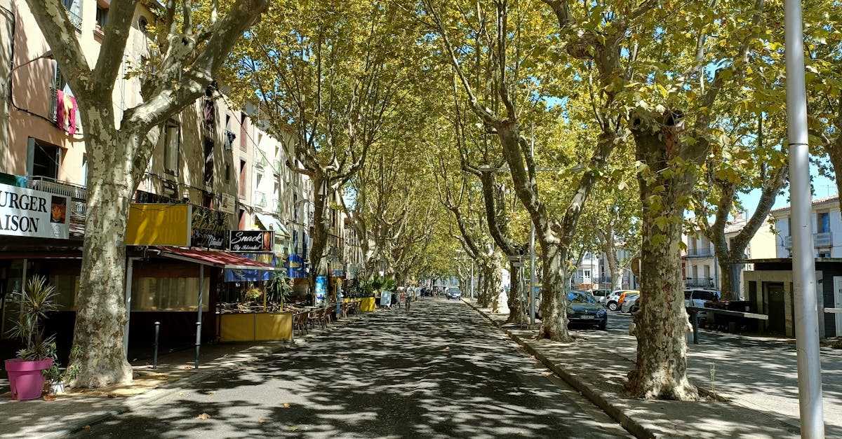 Quaint tree-lined street in Agde, France, showcasing charming architecture and lush greenery.