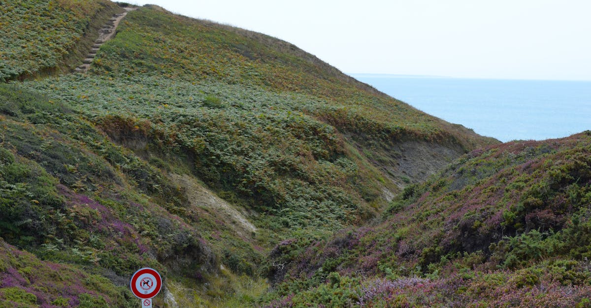 Scenic view of grassy hills leading to the ocean in Camaret-sur-Mer, France.