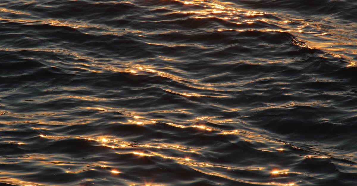 Close-up shot of golden sunlight reflecting off calm ocean waves during sunset, creating a serene and peaceful atmosphere.