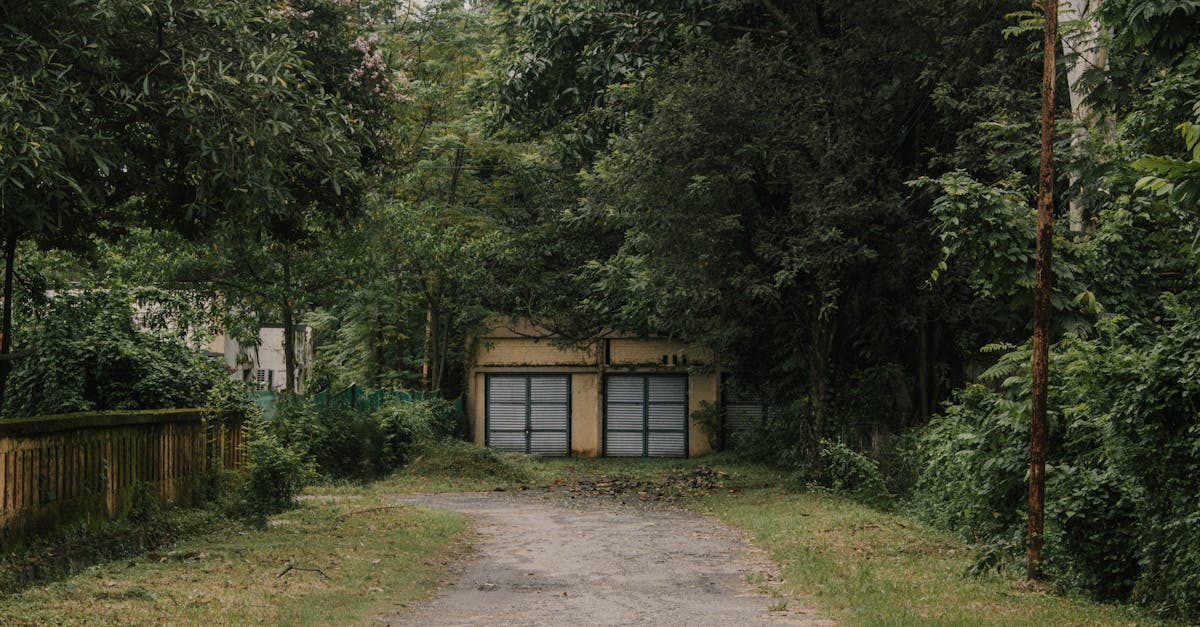 A quiet, secluded garage with metal doors hidden amidst dense trees and greenery in a peaceful outdoor setting.