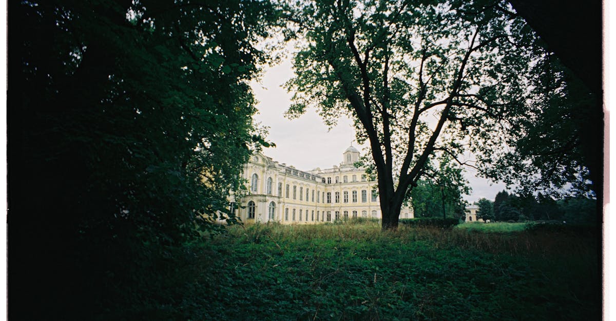 third_section_image_data.image_alt