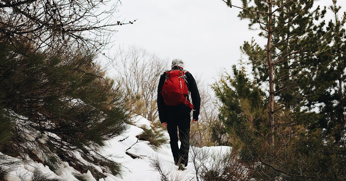A lone hiker with a red backpack treks through a snowy forest trail in winter.