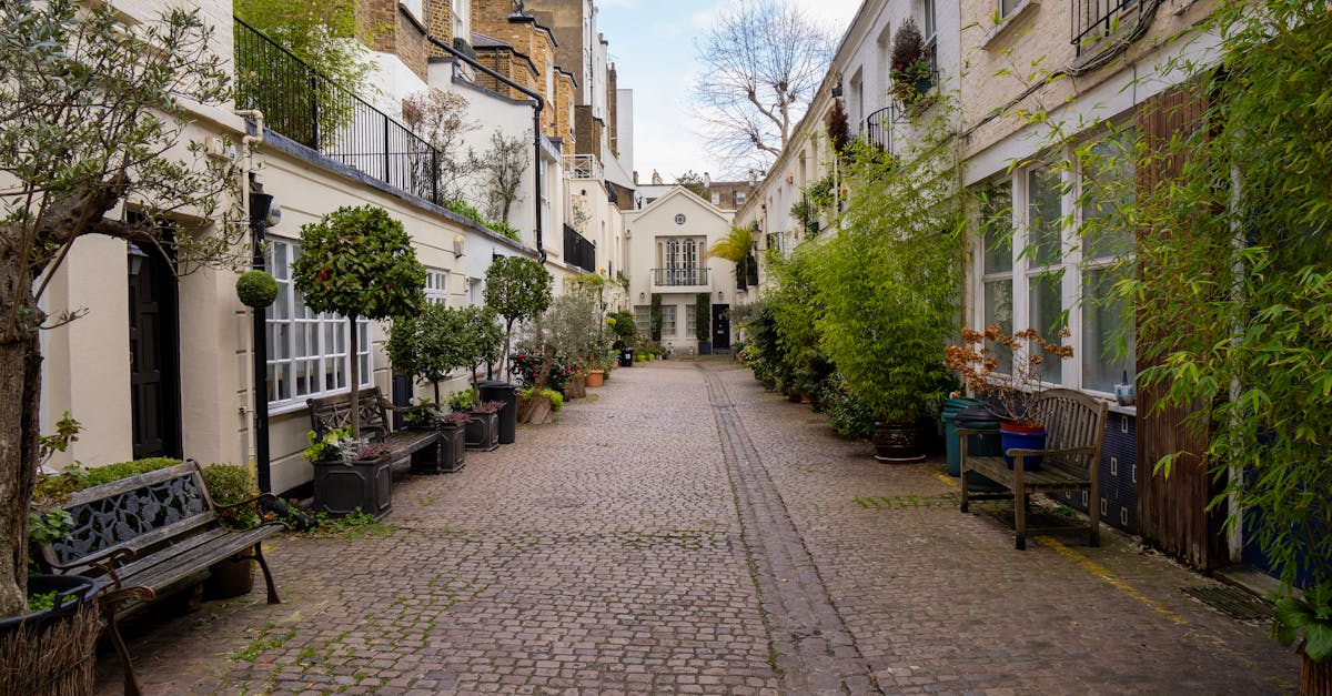 Discover the tranquility of a historic London mews with cobblestones and lush greenery.