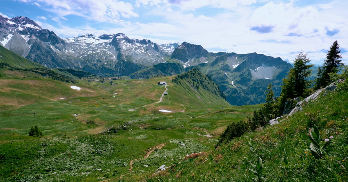 third_section_image_data.image_alt