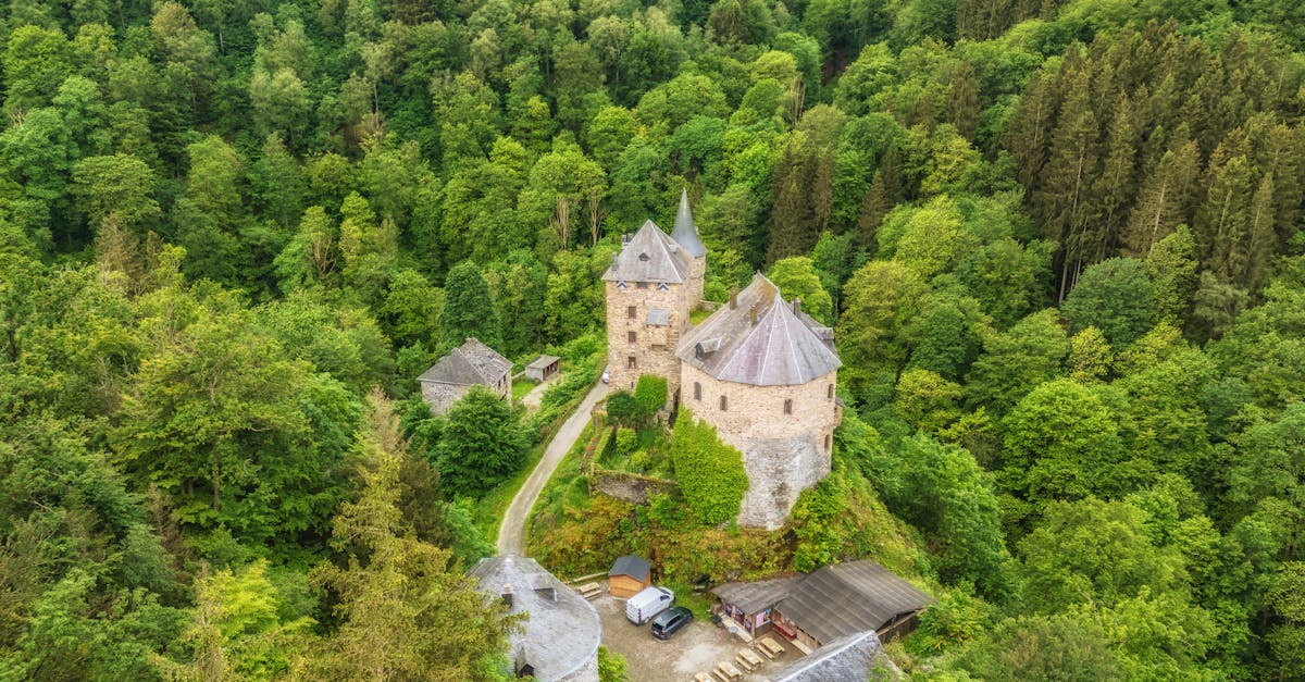 Stunning aerial shot of a historic castle surrounded by lush green forest and pathways.