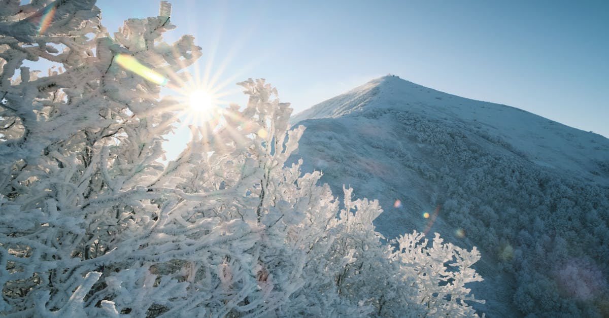 Beautiful winter sunrise illuminating a snow-covered mountain landscape with frosted trees.