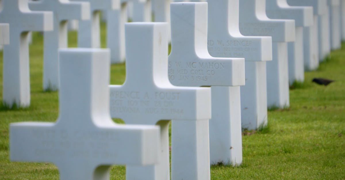 Serene white crosses in Normandy American Cemetery, honoring WWII soldiers.