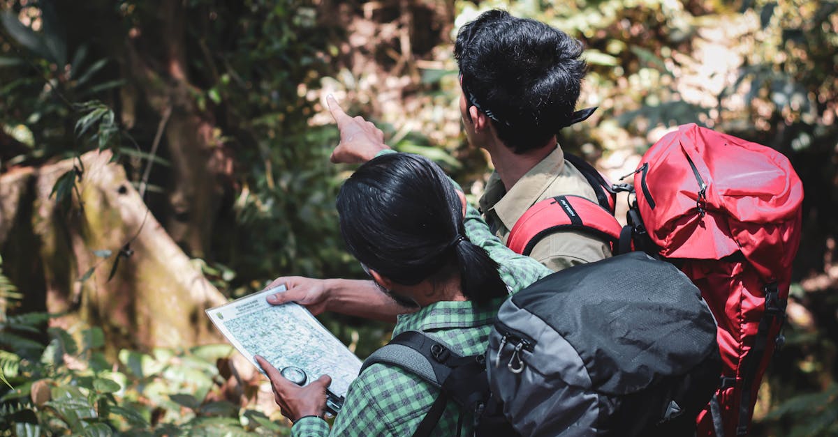 From above back view of anonymous hikers exploring green forest and checking direction on map